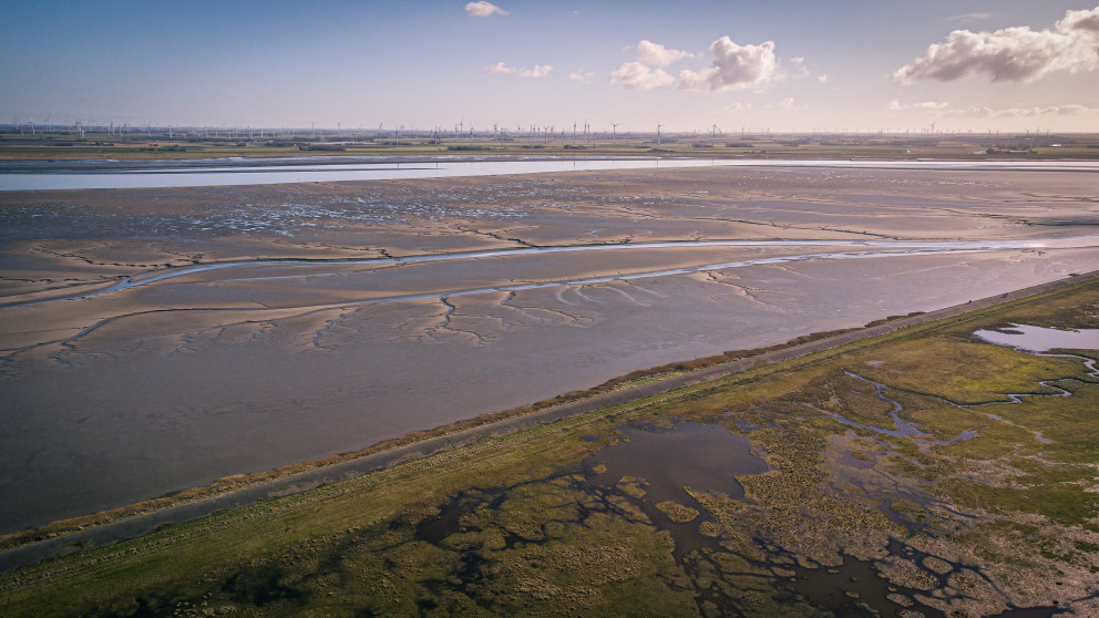 Küstenökosysteme wie das niedersächsische Wattenmeer können große Mengen an Kohlenstoff aus der Atmosphäre im Sediment speichern.