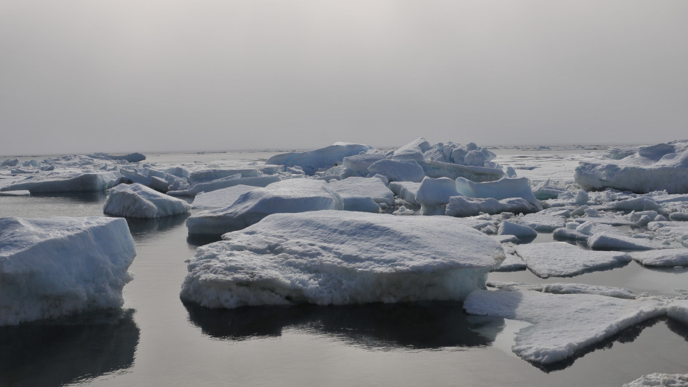 Umweltschutz in der Arktis – Unterstützung der deutschen