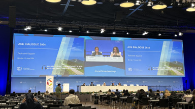 ACE Dialogue and Negotiations at SB60 in Bonn